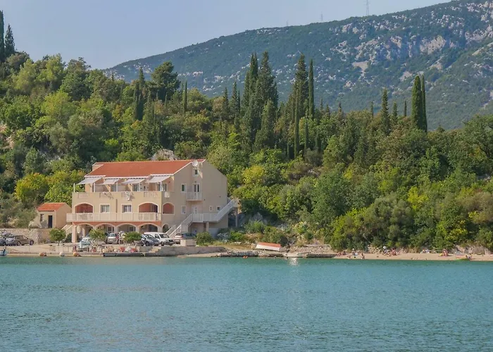Oyster Paradise Turquoise Ston