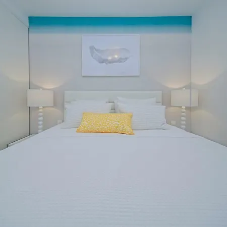 Oyster Paradise Turquoise