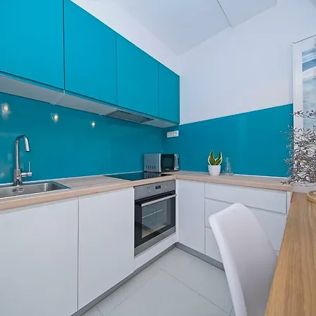 Oyster Paradise Turquoise