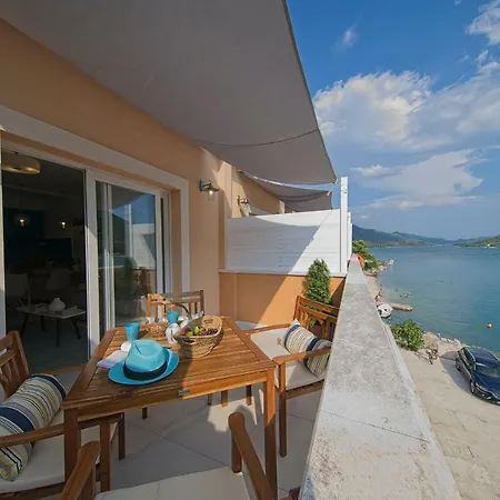 Oyster Paradise Turquoise